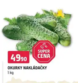 Terno Okurky nakládačky nabídka