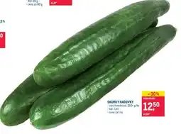 Makro Okurky hadovky nabídka