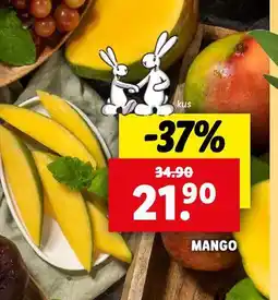Lidl Mango nabídka