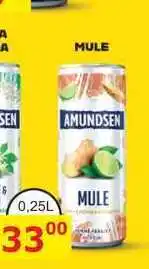 BENE Nápoje AMUNDSEN MULE 0,25L míchaný nápoj nabídka