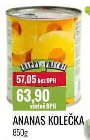 Ratio ANANAS KOLEČKA 850g nabídka