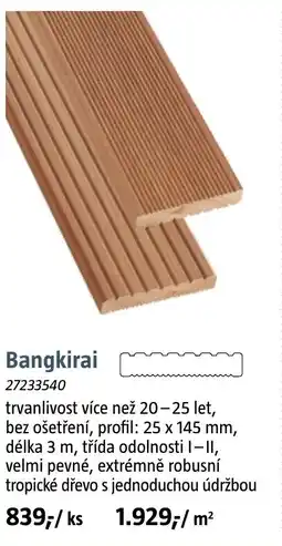 Bauhaus Bangkirai nabídka