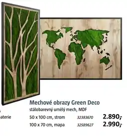 Bauhaus Mechové obrazy Green Deco nabídka