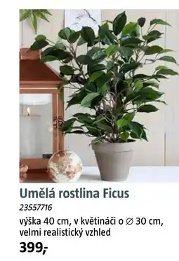 Bauhaus Umělá rostlina Ficus nabídka