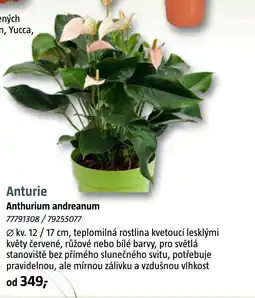 Bauhaus Anturie nabídka
