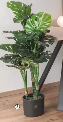 Bauhaus Umělá rostlina Monstera nabídka