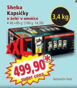 Norma Sheba Kapsičky nabídka