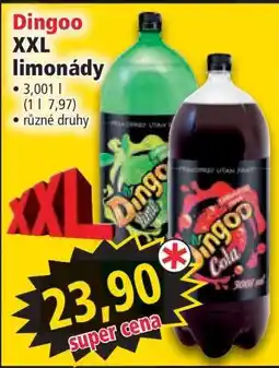 Norma Dingoo XXL limonády nabídka