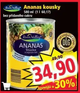 Norma Ananas kousky nabídka