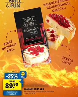 Lidl CAMEMBERT NA GRIL, 450 g nabídka