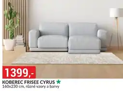 Baumax Koberec frisee cyrus nabídka