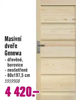 Hornbach Masivní dveře Genewa nabídka