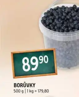 Terno Borůvky 500g nabídka