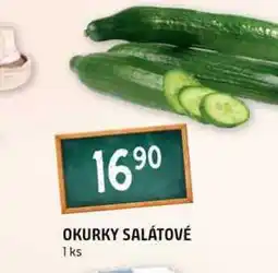 Terno OKURKY SALÁTOVÉ 1ks nabídka