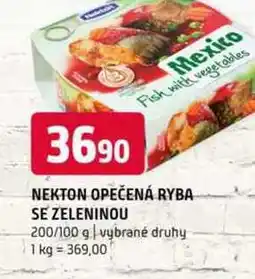 Terno NEKTON OPEČENÁ RYBA SE ZELENINOU 200/100 g vybrané druhy nabídka