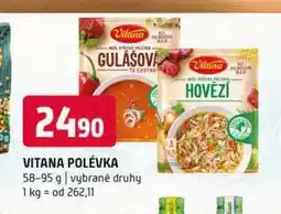 Terno VITANA POLÉVKA 58-95 g vybrané druhy nabídka