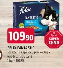 Terno FELIX FANTASTIC 12x 85 g kapsičky pro kočky výběr z ryb v želé nabídka