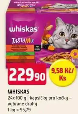 Terno WHISKAS 24x 100 g kapsičky pro kočky vybrané druhy nabídka