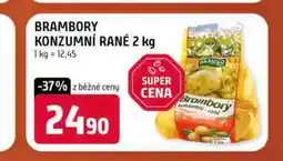 Terno BRAMBORY KONZUMNÍ RANÉ 2 kg nabídka