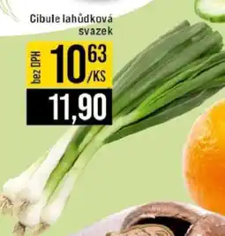 Jip Cibule lahůdková svazek nabídka