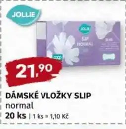 Terno DÁMSKÉ VLOŽKY SLIP nabídka