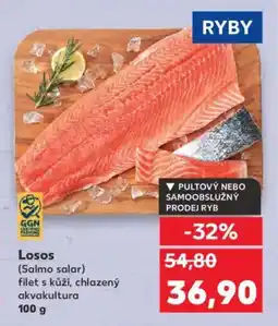 Kaufland Losos nabídka