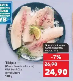 Kaufland Tilápie nabídka