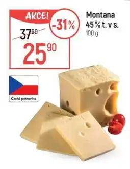 Globus Montana 45 % t. v s nabídka