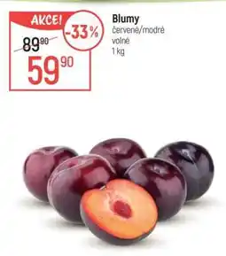 Globus Blumy nabídka