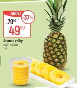 Globus Ananas velký nabídka