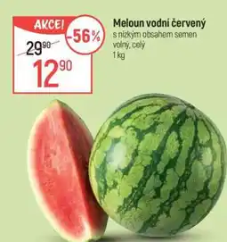 Globus Meloun vodní červený nabídka