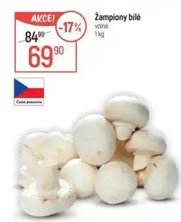 Globus Žampiony bílé nabídka