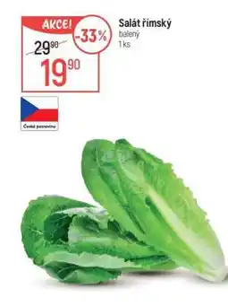 Globus Salát římský nabídka
