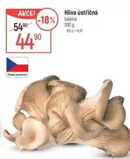 Globus Hlíva ústřičná nabídka