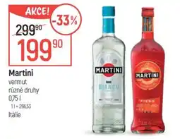 Globus Martini nabídka