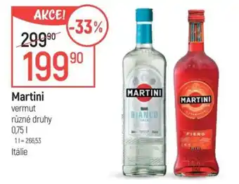 Globus Martini nabídka