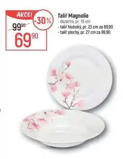 Globus Talíř Magnolie nabídka