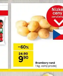Tesco Brambory konzumní rané nabídka