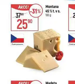 Globus Montana sýr 45% nabídka