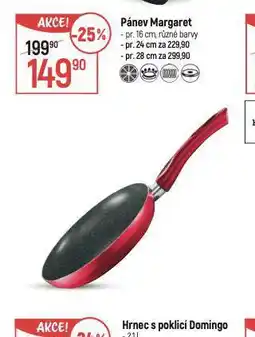 Globus Pánev 28 cm nabídka