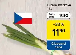 Tesco Cibule svazková nabídka