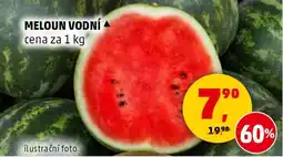 Penny Market MELOUN VODNÍ nabídka
