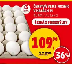 Penny Market Čerstvá vejce nosnic v halách M nabídka