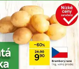 Tesco Brambory rané nabídka