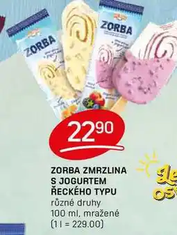 Flop ZORBA ZMRZLINA S JOGURTEM ŘECKÉHO TYPU různé druhy 100 ml, mražené nabídka
