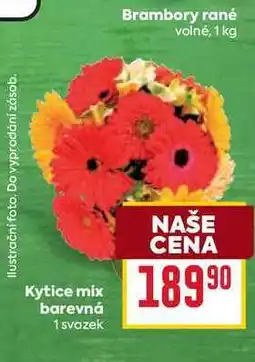 Billa Kytice mix barevná 1 svazek nabídka