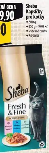 Albert Sheba Kapsičky pro kočky nabídka