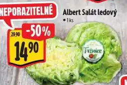 Albert Albert Salát ledový nabídka