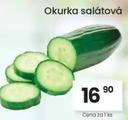 Kubík potraviny Okurka salátová nabídka