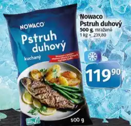 Coop NOWACO Pstruh duhový nabídka